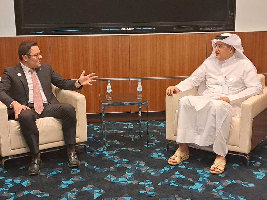 размазан фон poulev_almannaiqatar.jpeg