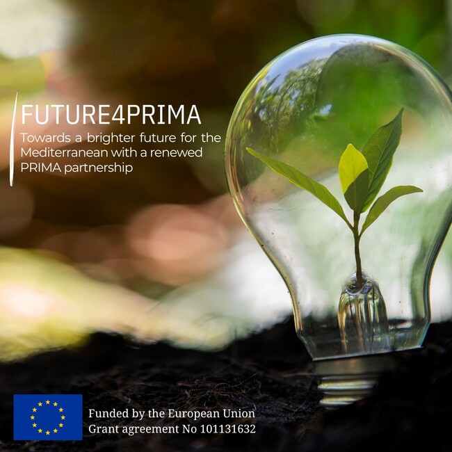 размазан фон future4prima-square-format.jpg